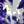   FableRO 2025 -  Armagedon |    Ragnarok Online  MMORPG  FableRO:  ,  ,   Wedding,   