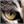   FableRO 2024 -  Cos1nosU |     Ragnarok Online MMORPG  FableRO: Wizard Beard,   , Kitty Tail,   