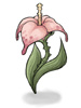   Fable.RO PVP- 2025 -    - Wild Flower |     Ragnarok Online MMORPG  FableRO: Dragon Helmet,  ,  ,   