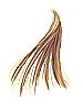   Fable.RO PVP- 2024 -   - Golden Hair |     Ragnarok Online MMORPG  FableRO:   Assassin,   Crusader,  ,   