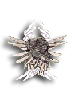  Fable.RO PVP- 2024 -   FableRO - Evil Lightning Wings |    MMORPG  Ragnarok Online  FableRO: Bride Veil,   Super Novice,   ,   
