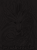   Fable.RO PVP- 2024 -   FableRO - Dragon of Darkness |     Ragnarok Online MMORPG  FableRO:  ,  , Bride Veil,   
