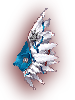   Fable.RO PVP- 2024 -   - Anti-Collider Wings |    MMORPG  Ragnarok Online  FableRO:  ,   Swordman High,  ,   