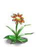   Fable.RO PVP- 2024 -   - Fancy Flower |    Ragnarok Online MMORPG   FableRO: ,  ,  ,   