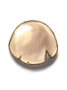   Fable.RO PVP- 2024 -   - Egg Shell |    MMORPG  Ragnarok Online  FableRO: ,  ,   Baby Monk,   