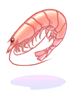   Fable.RO PVP- 2024 -   - Shrimp |     Ragnarok Online MMORPG  FableRO:    ,   Acolyte, ,   