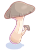   Fable.RO PVP- 2024 -     - Edible Mushroom |    MMORPG Ragnarok Online   FableRO: , Wings of Serenity, Red Lord Kaho's Horns,   