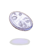   Fable.RO PVP- 2024 -   - Platinum Coin |     MMORPG Ragnarok Online  FableRO:   Professor,  ,  ,   