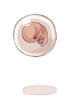   Fable.RO PVP- 2024 -   - Embryo |    MMORPG  Ragnarok Online  FableRO: , Kitty Ears, Vip mask,   