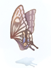   Fable.RO PVP- 2024 -   - Giant Butterfly Wing |    MMORPG Ragnarok Online   FableRO: Lovely Heat,   Baby Sage, Spell Ring,   
