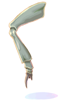   Fable.RO PVP- 2024 -   - Insect Leg |    MMORPG Ragnarok Online   FableRO:  ,   Swordman, ,   