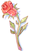   Fable.RO PVP- 2024 -   - Witherless Rose |    MMORPG Ragnarok Online   FableRO:  , Golden Armor, Spring Coat,   
